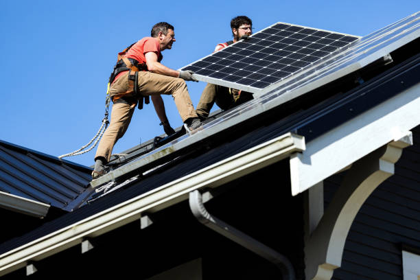 Best Roof Moss and Algae Removal  in Kill Devil Hills, NC